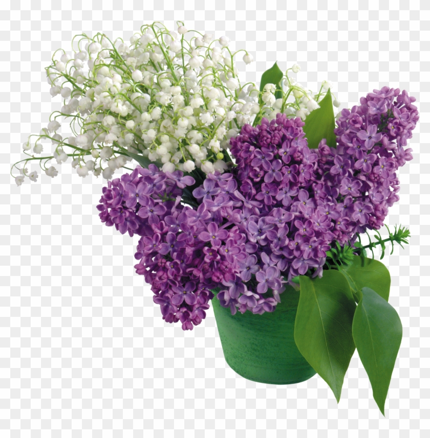 Flor De Nube Png Clipart