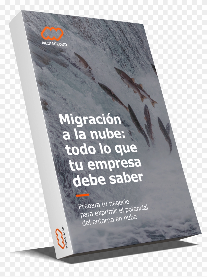 Guía Para La Migración A La Nube - Flyer Clipart #2166380
