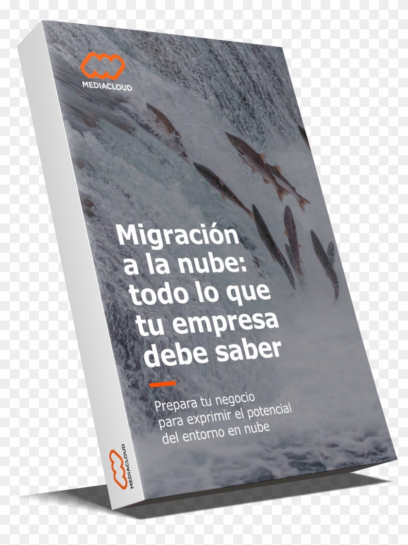 Guía Para La Migración A La Nube - Flyer Clipart