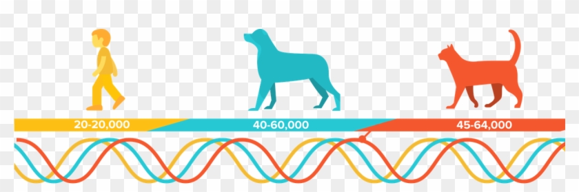 In Short, Fireworks Can Be Absolutely Terrifying For - Silhouette Clipart