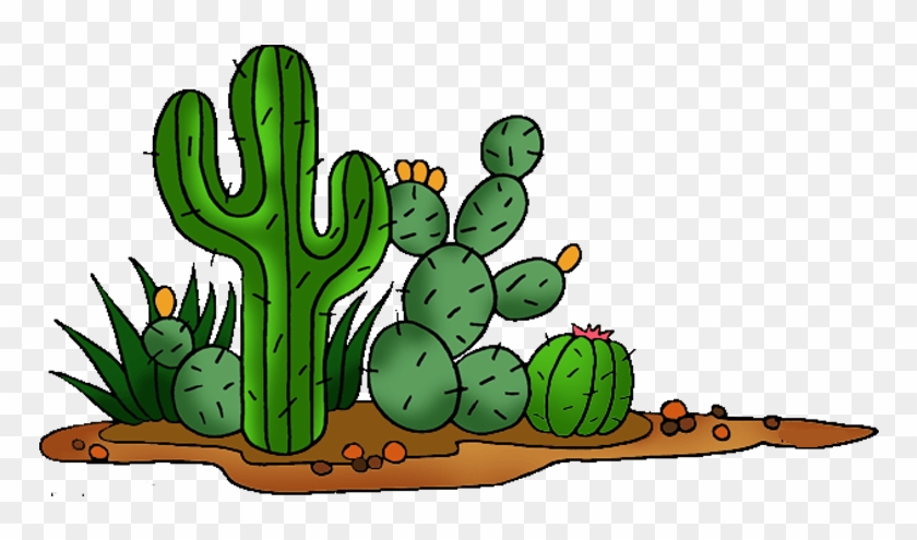 Cactaceae Saguaro Clip Art Transprent - Cactus And Flowers Clipart - Png Download #2170112