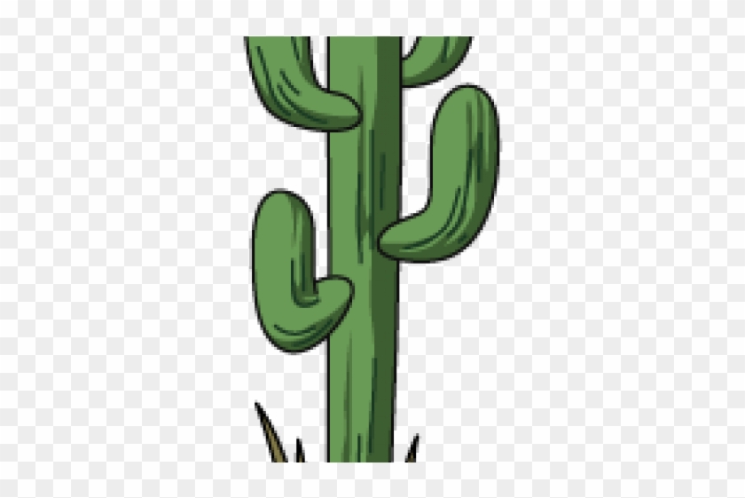 Cactus Clipart Tall - San Pedro Cactus - Png Download #2170147