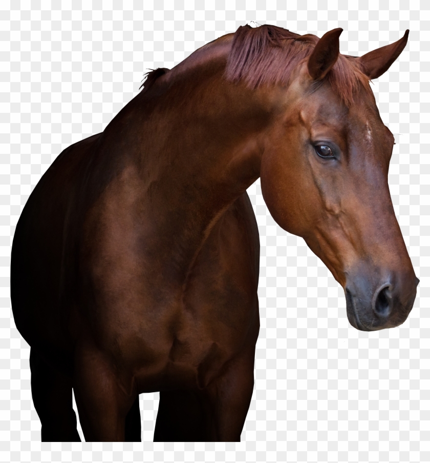 Sports Medicine Clipart