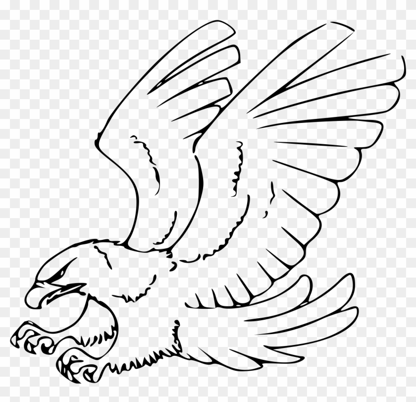 Eagles Clipart Line - Hawk Drawing - Png Download