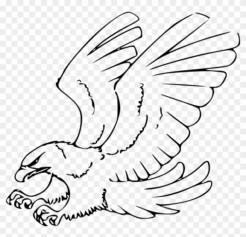 Eagles Clipart Line - Hawk Drawing - Png Download #2172781