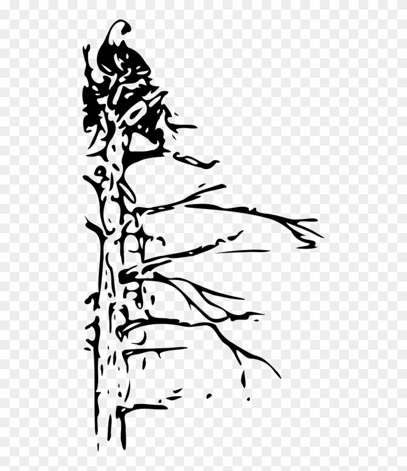 Eagle In A Tree Clipart Black And White , Png Download - Eagle In A Tree Clipart Black And White Transparent Png