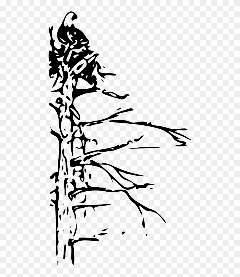 Eagle In A Tree Clipart Black And White , Png Download - Eagle In A Tree Clipart Black And White Transparent Png #2173381