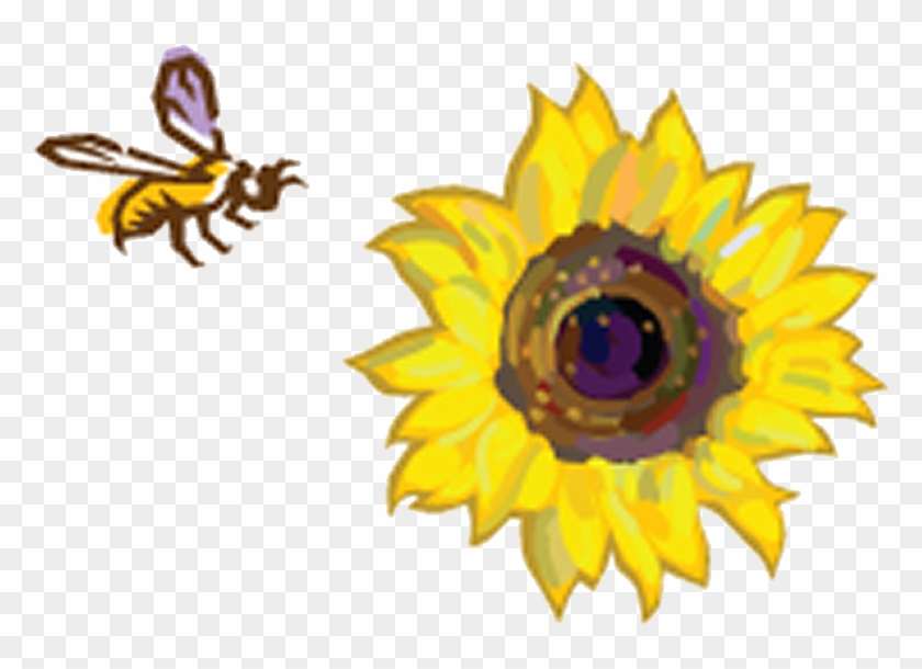 Sunflowers Clipart Bee - Bee And Sunflower Png Transparent Png #2173415