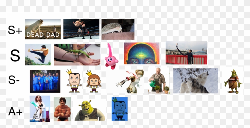 Yohosie - Shrek Clipart