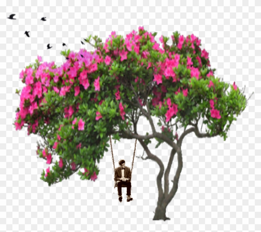 Ftestickers Tree People Birds Man Swing Bird Flower Clipart #2174743