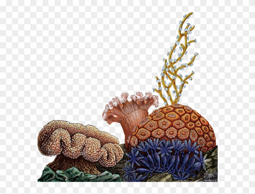 Designing For Behavior Change Clipart #2175481