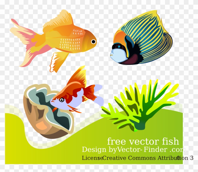 This Free Icons Png Design Of Free Vector Fish - Sea Animal Worksheets In French Clipart