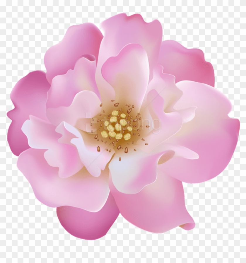 Free Png Download Pink Rosebush Flower Transparent - Artificial Flower Clipart #2177115