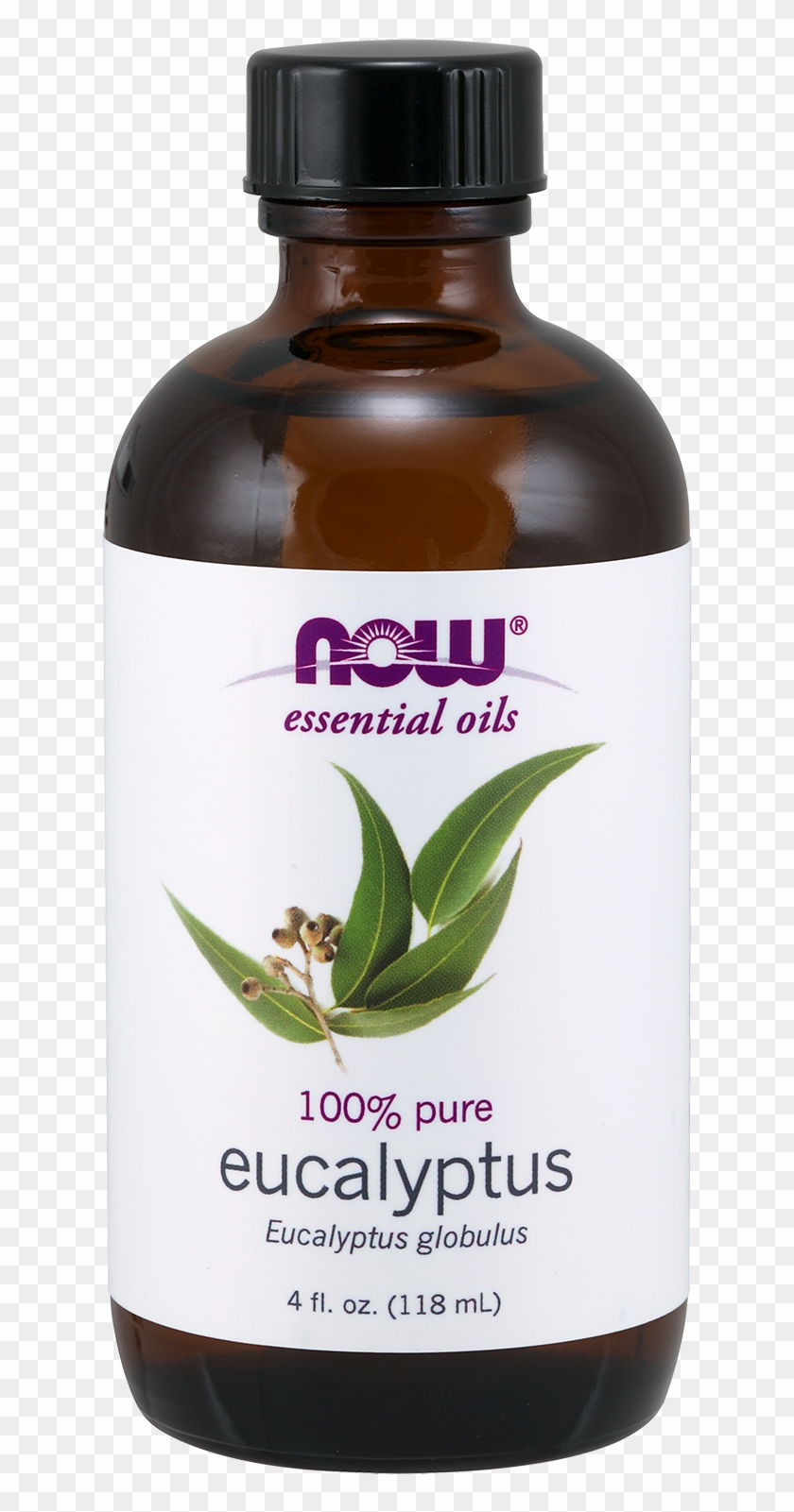 Now Eucalyptus Oil - Now Lavender Essential Oil 4 Oz Clipart #2177116