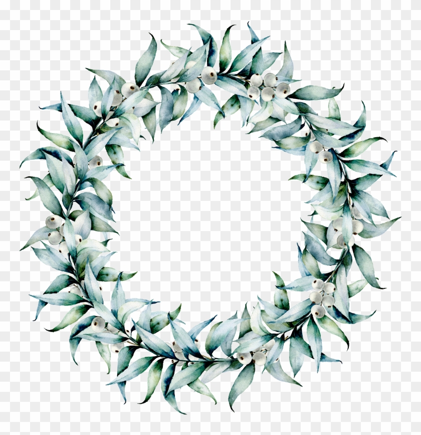 Eucalyptus White Berry Wreath 800×800 - Eucalyptus Gum Wreath Watercolour Clipart