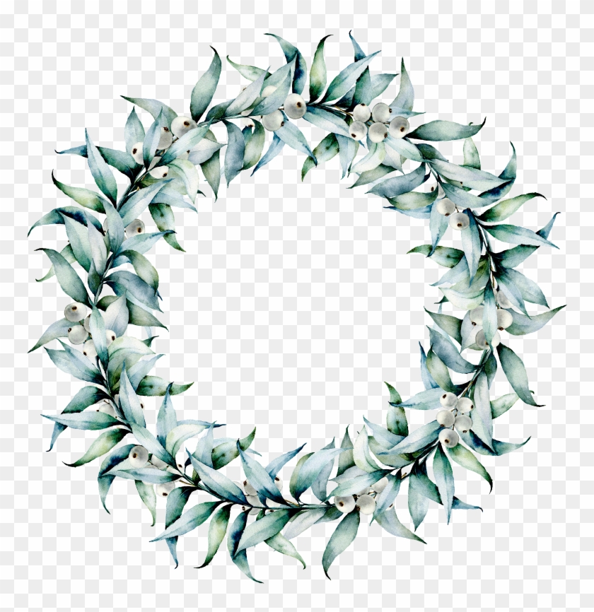 Eucalyptus White Berry Wreath 800×800 - Eucalyptus Gum Wreath Watercolour Clipart #2177170