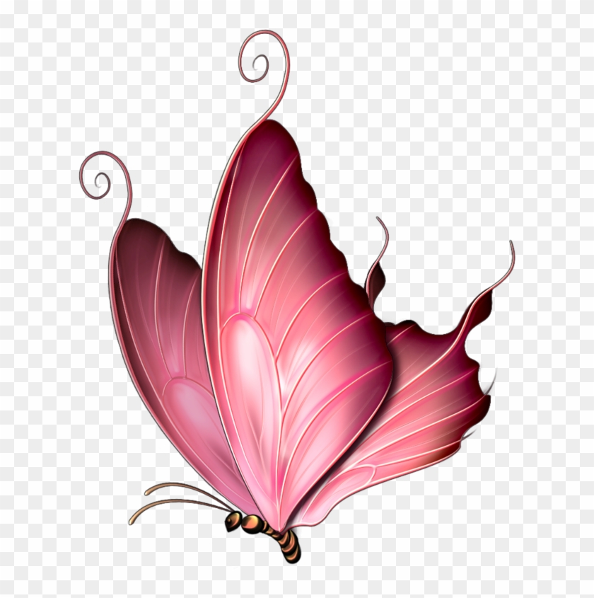 Butterfly Images Clip Art Butterfly 10 A A˜žo¥o¥a ‹a - Transparent Pink Butterfly Png