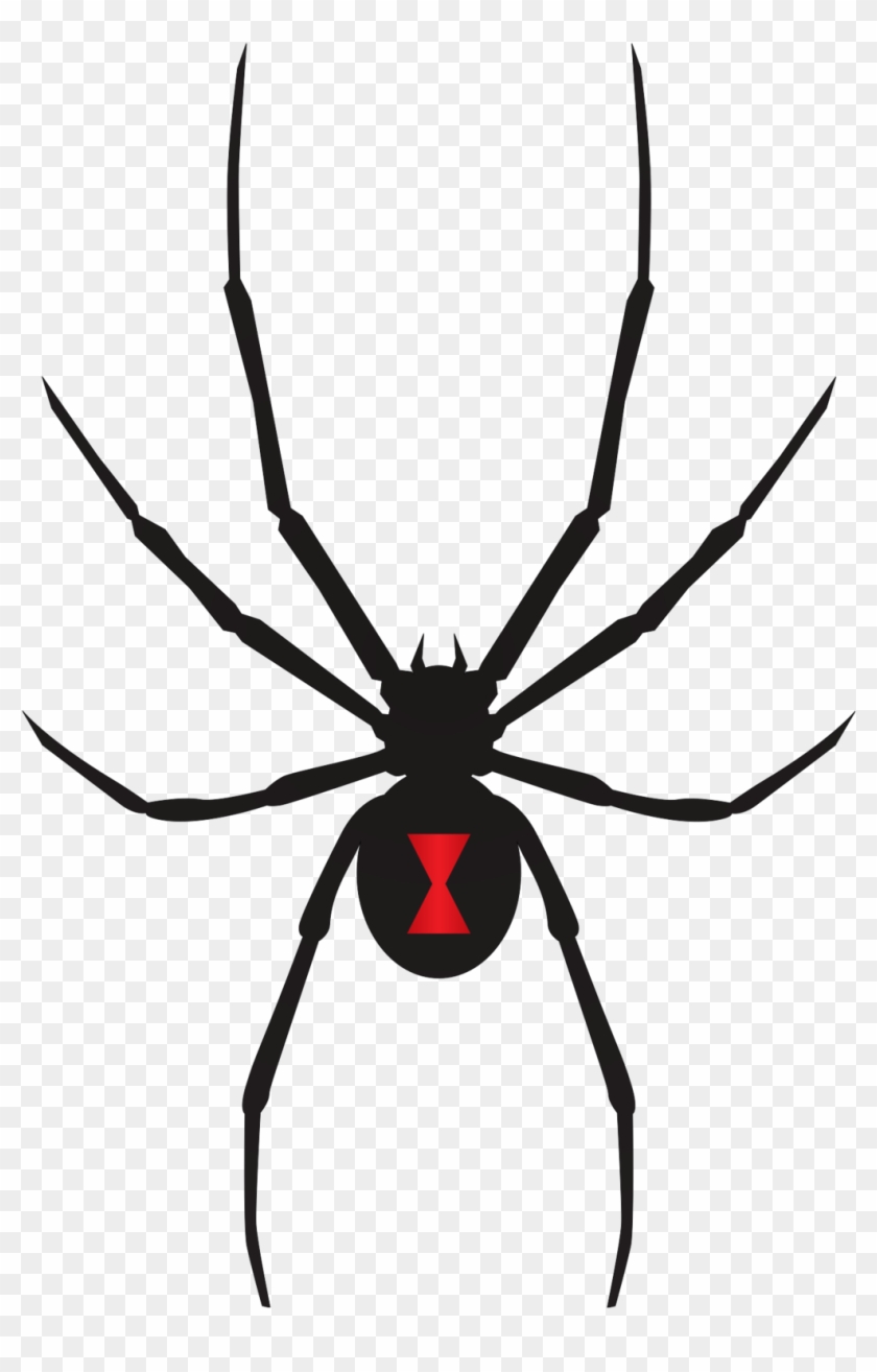 Black Widow Spider Flat Clipart