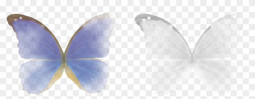 #fairy #butterfly #wings #magic #stickers #transparent - Butterfly Wings Overlays Png Clipart