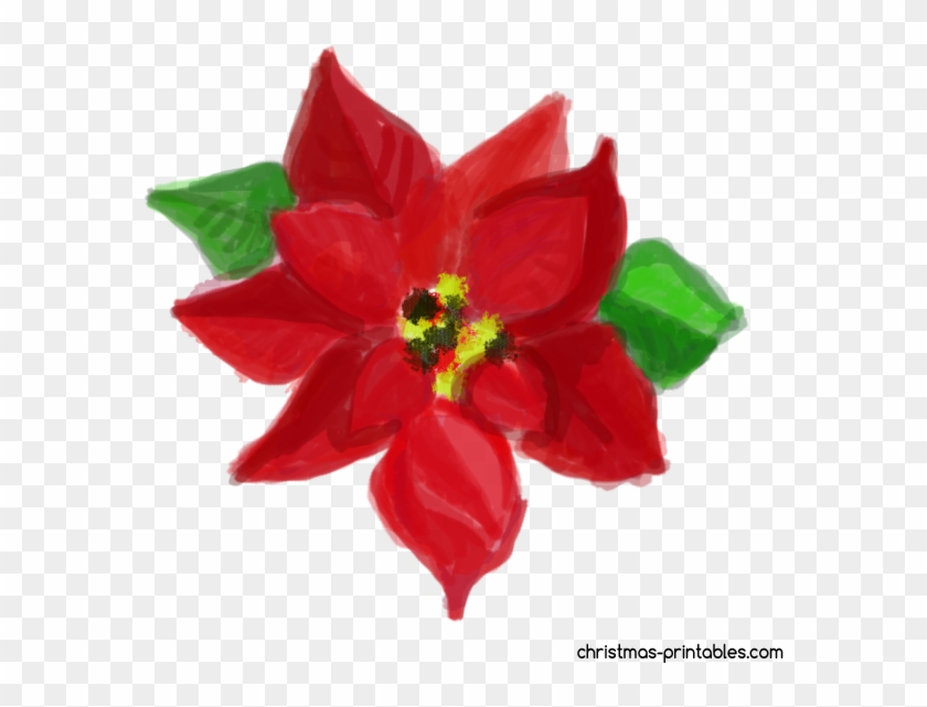 Free Watercolor Christmas Flower Clipart - Poinsettia - Png Download