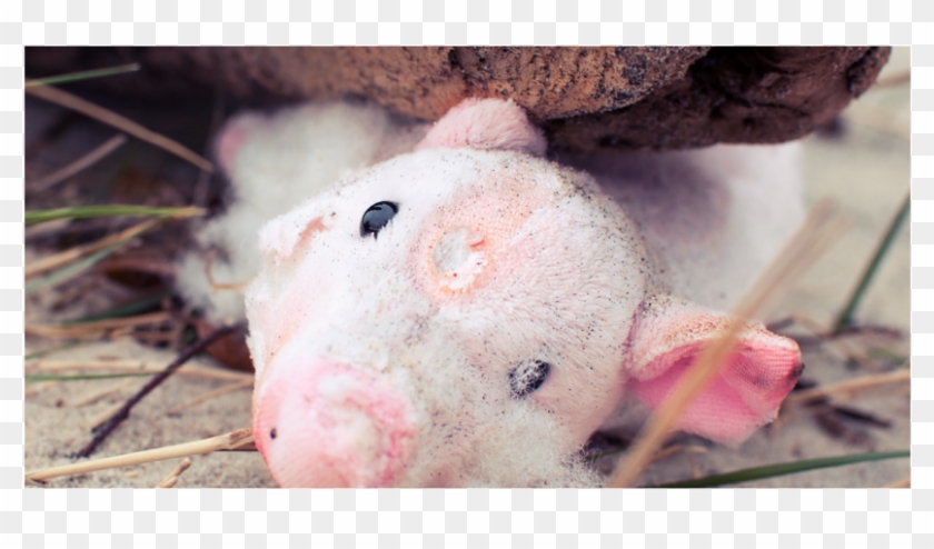 Lord Of The Flies2 Clipart #2181500