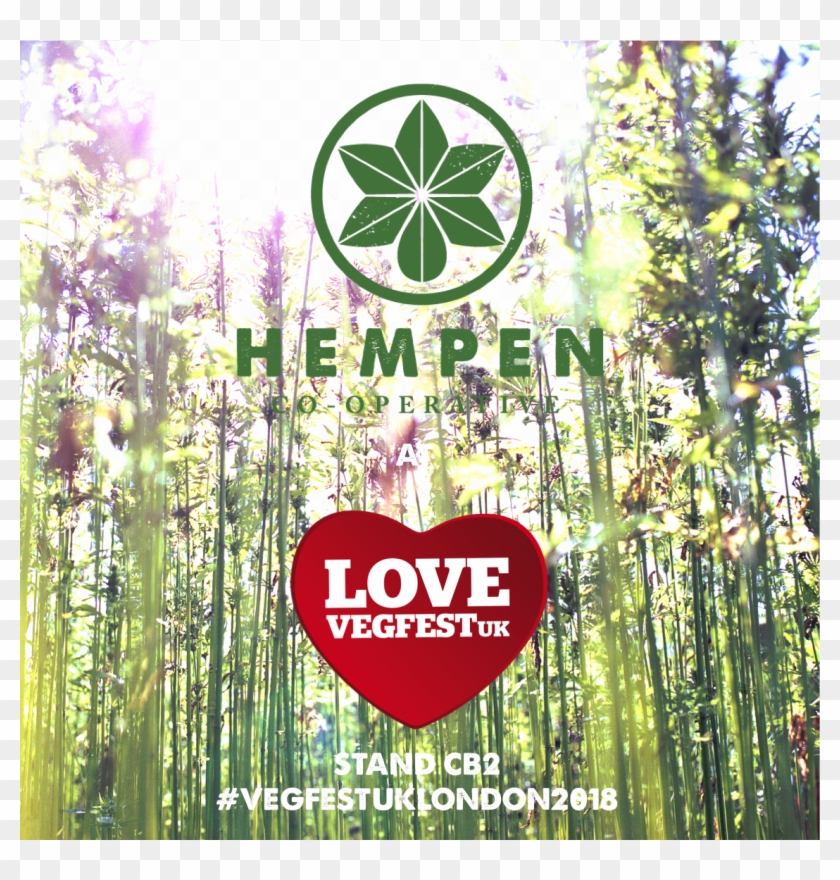 15% Off Our Organic Cbd Coconut Oil - Floral Design Clipart