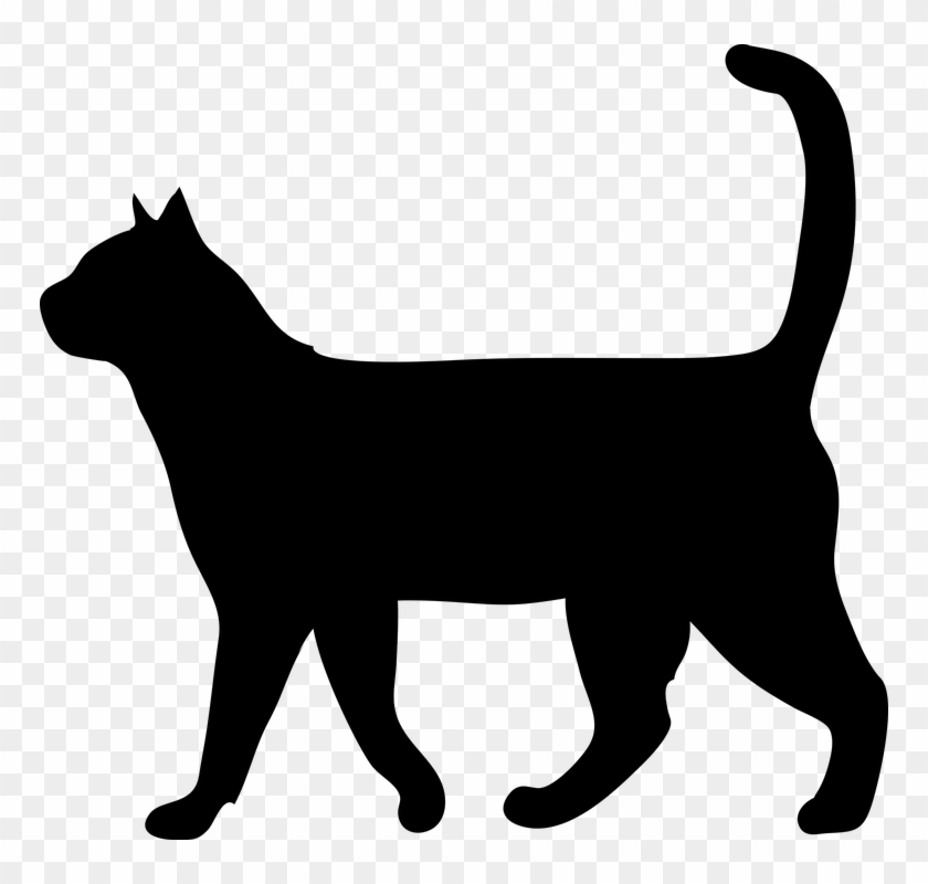 Black Cat Clipart Transparent - Silhouette Of Cat - Png Download