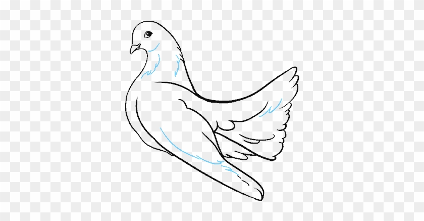 678 X 600 2 - Sketch Clipart