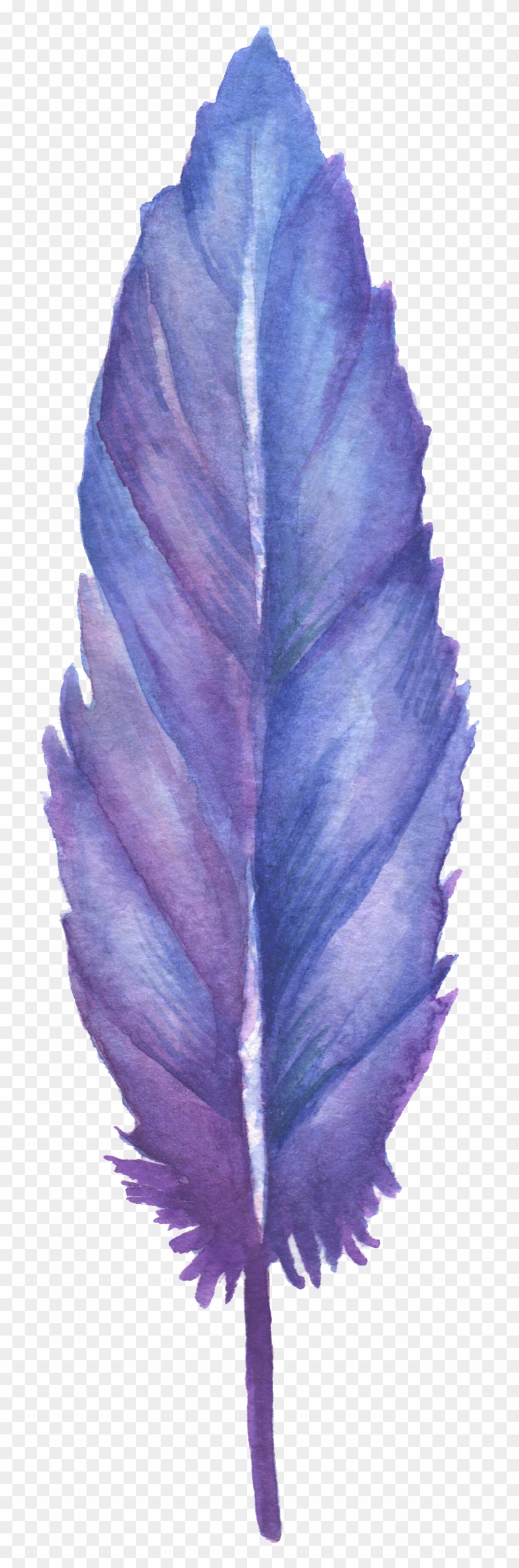 1024 X 2736 5 - Blue And Purple Feather Clipart #2184786