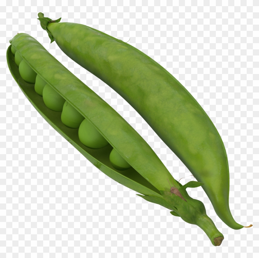Green Beans Png Clipart #2185504