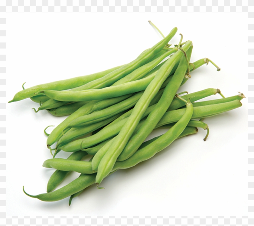 Green Beans White Background Clipart #2185876