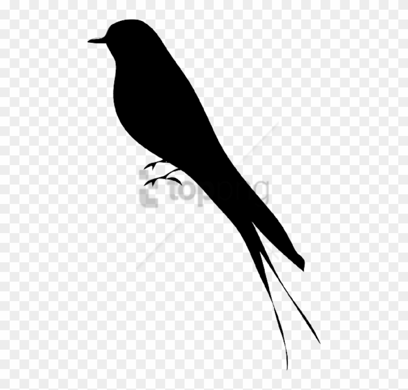 Free Png Bird Silhouette Png Image With Transparent Clipart #2186197