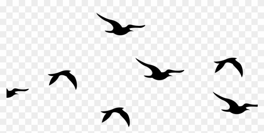 Flying Birds Silhouette Png Clipart #2186274