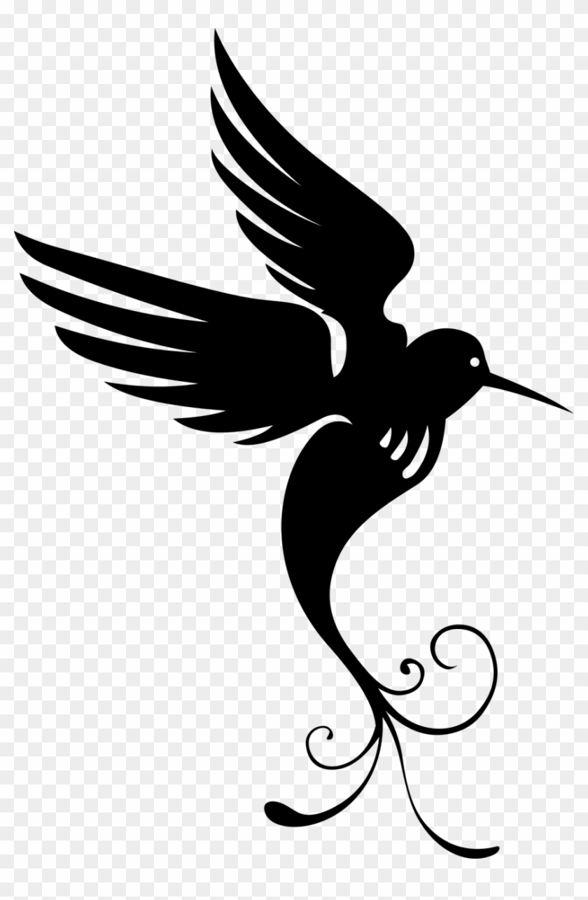 Vector Graphics, - Bird Of Paradise Clip Art - Png Download