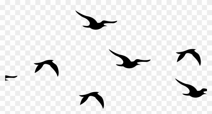 Flock Clipart