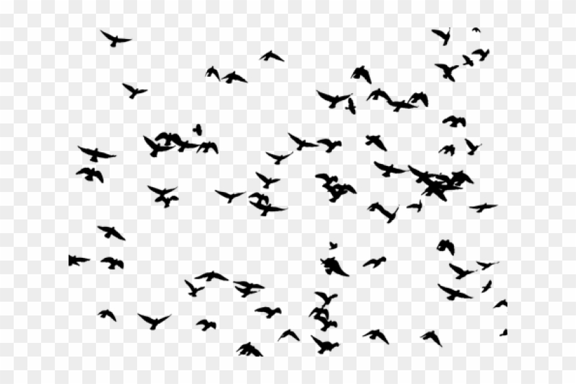 Migration Clipart Flock Seagulls - Flock Of Birds Png Transparent Png #2186442
