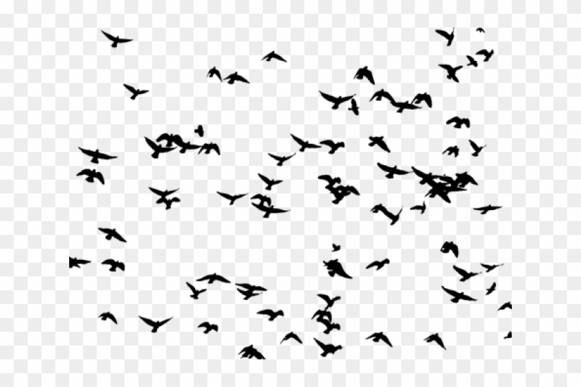 Migration Clipart Flock Seagulls - Flock Of Birds Png Transparent Png