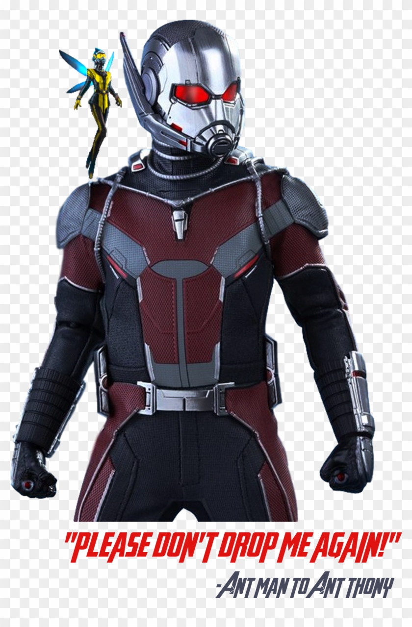 Ant-man And The Wasp Cartoon T Shirts, Cat Shirts, Clipart #2187740