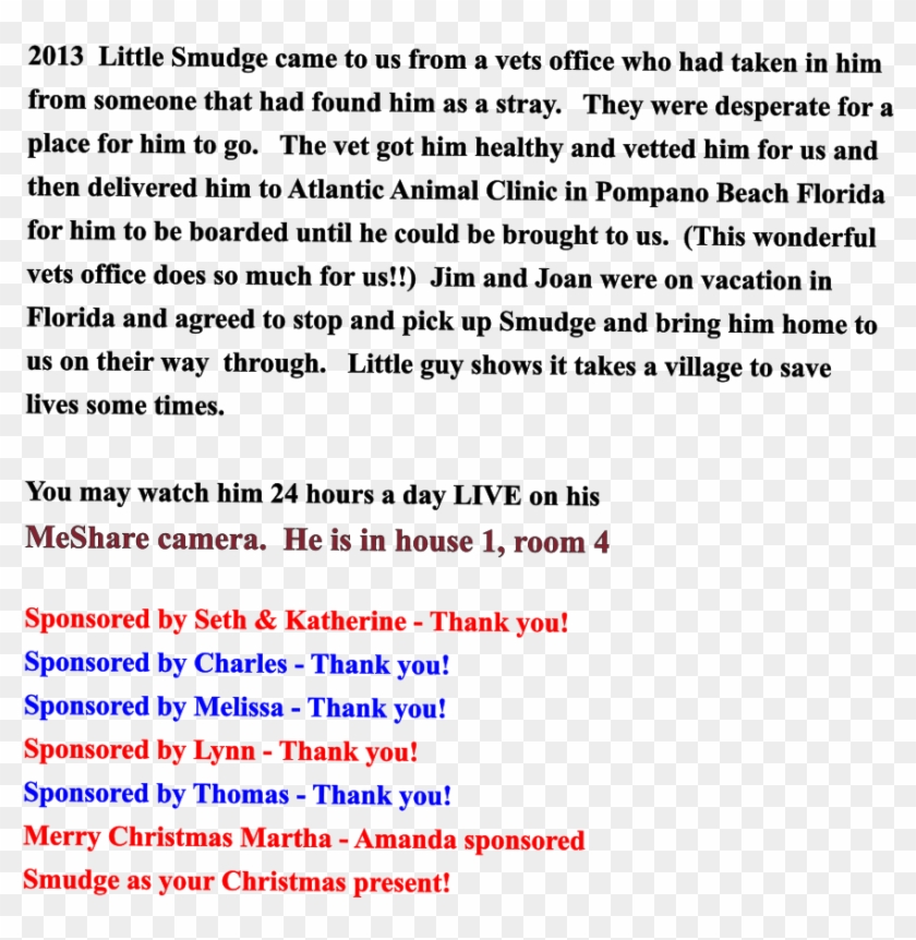 2013 Little Smudge Came To Us From A Vets Office Who - Circle Clipart