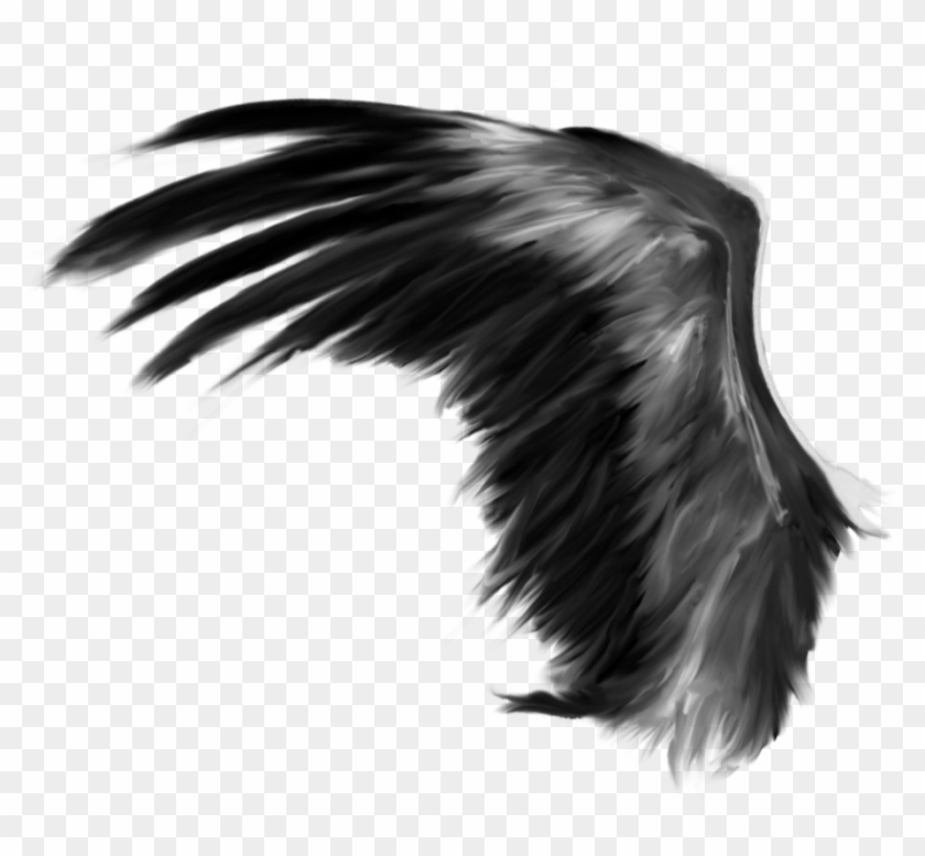 #wings #feathers #black #angel #bird #wing #freetoedit - Wings Png Clipart