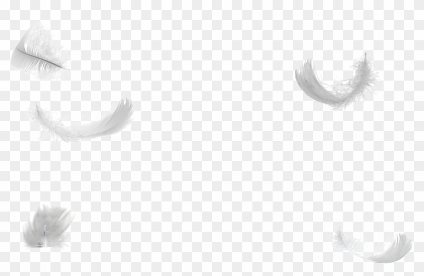 Transparent Feathers Falling Angel - Anime Feather Transparent Background Clipart