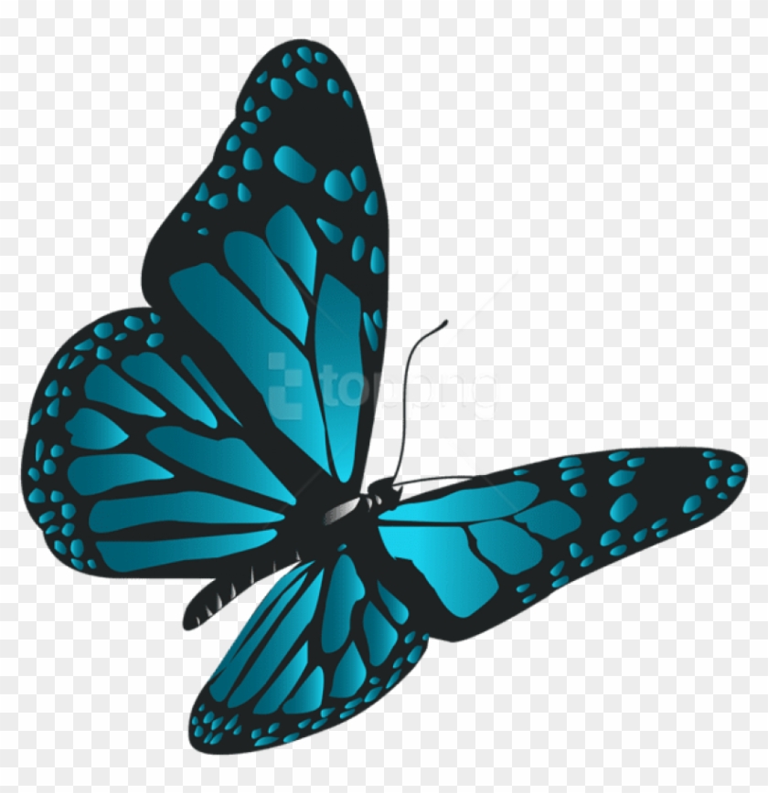 Free Png Download Blue Butterfly Png Clipart Png Photo - Transparent Blue Butterfly Png