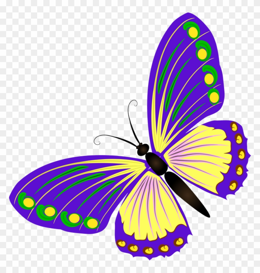 ‿✿⁀butterflies‿✿⁀ - Mariposas Color Coral Clipart #2190579