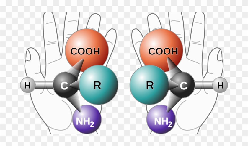 The Reflection You See Is A Right Hand - Stereo Chemistry Clipart