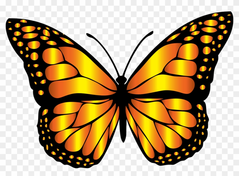 Monarch Butterfly Clipart Monarch Butterfly Clipart - Png Download #2191704