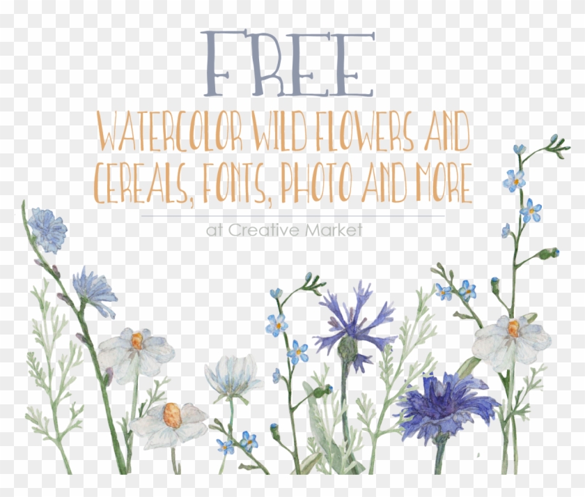 Free Wildflower And Cereals - Watercolor Wildflowers Png Clipart