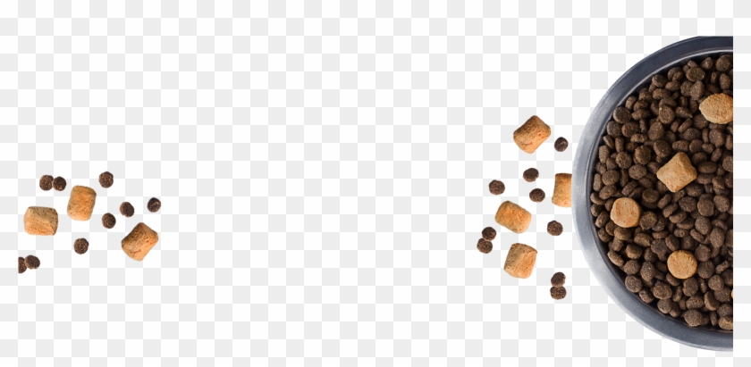 Dog Food Bowl Png - Cat Treats Transparent Background Clipart
