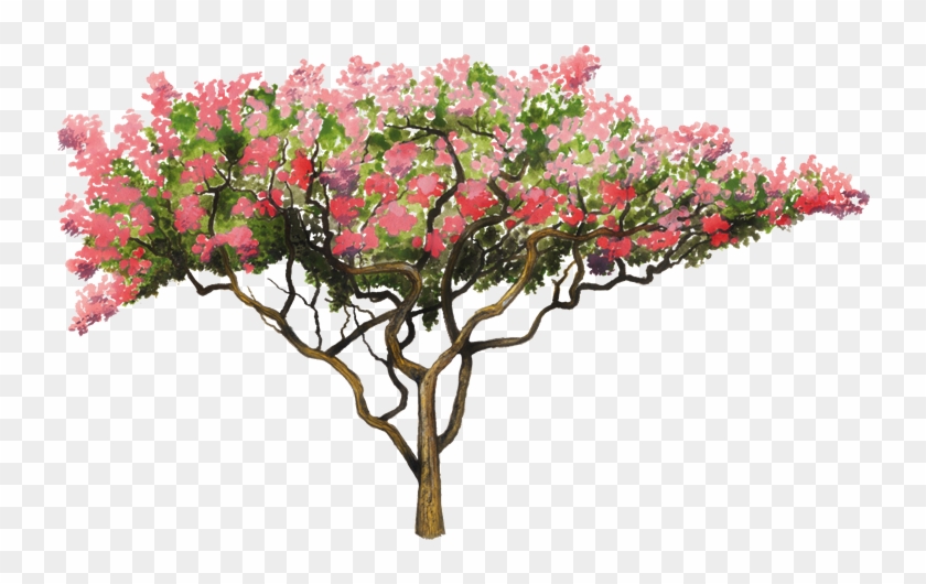 750 X 502 9 - Arbol De Flores Png Clipart #2193128