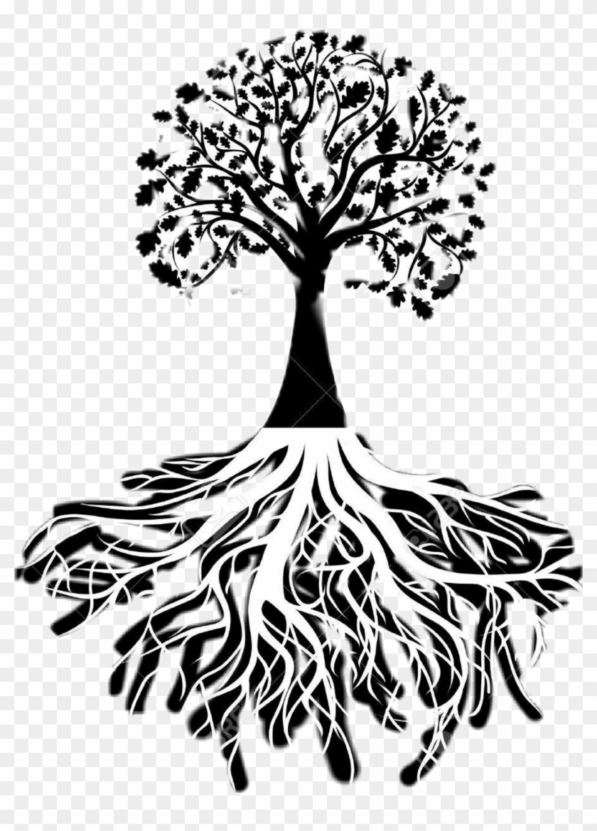 #arbol De La Vida - Racine D Arbre Noir Et Blanc Png Clipart