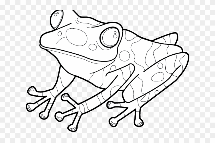 Free Frog Clipart - Eastern Spadefoot - Png Download